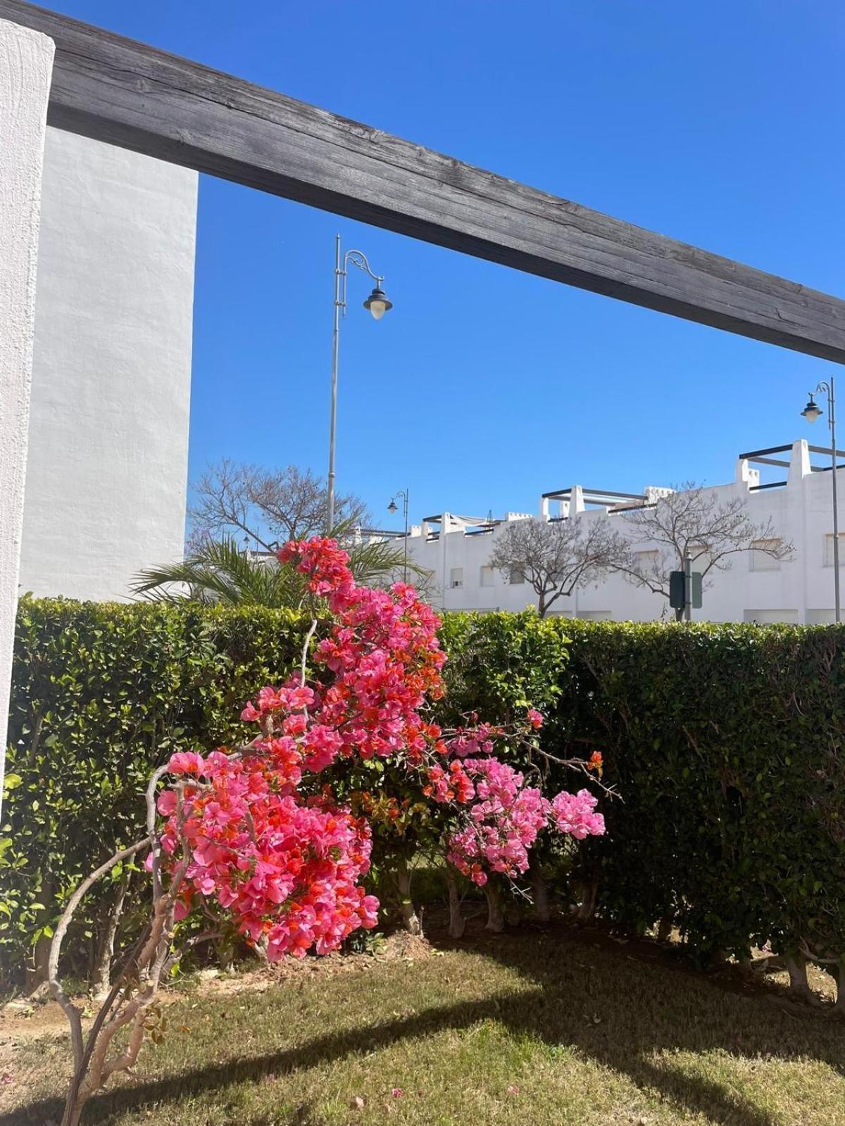 Casa Luisa Jardin 10 Condado De Alhama Alhama de Múrcia Exterior foto